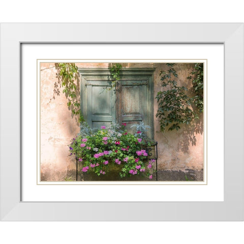 Retro Window and Flowers White Modern Wood Framed Art Print with Double Matting by Volcjoks, Edijs