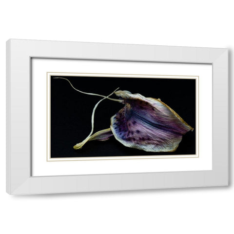 Lily Petal White Modern Wood Framed Art Print with Double Matting by Graciet, Stephane