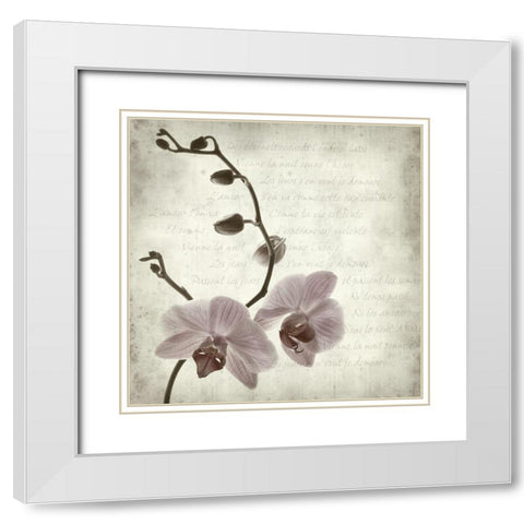 Retro Orchid White Modern Wood Framed Art Print with Double Matting by Anonymous