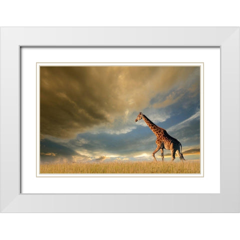 Giraffes, African Skies White Modern Wood Framed Art Print with Double Matting by Anonymous