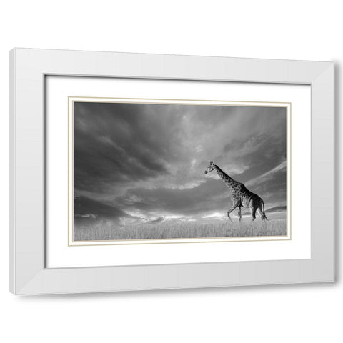 Giraffes, African Skies White Modern Wood Framed Art Print with Double Matting by Anonymous