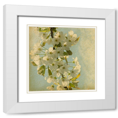 Spring Bloom White Modern Wood Framed Art Print with Double Matting by Anonymous
