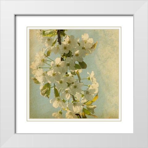 Spring Bloom White Modern Wood Framed Art Print with Double Matting by Anonymous