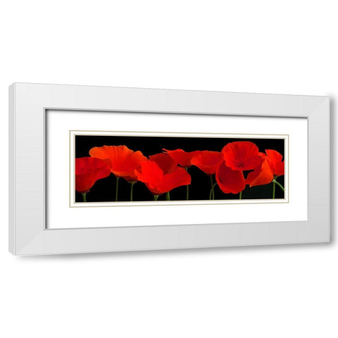 Vermilion Poppies White Modern Wood Framed Art Print with Double Matting by Crum, R.