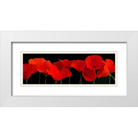 Vermilion Poppies White Modern Wood Framed Art Print with Double Matting by Crum, R.