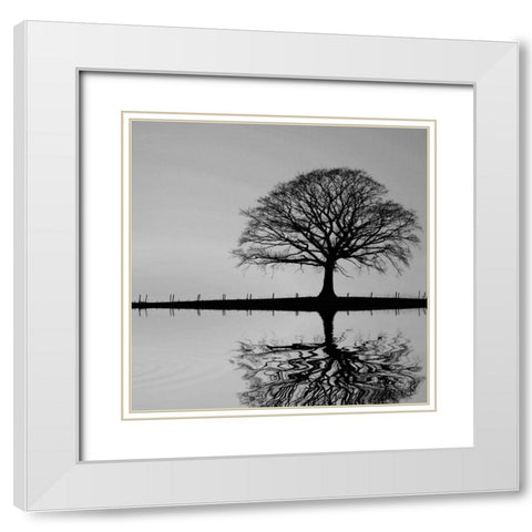 Shimmering Oak White Modern Wood Framed Art Print with Double Matting by Anonymous