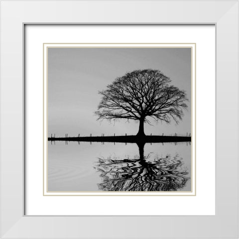 Shimmering Oak White Modern Wood Framed Art Print with Double Matting by Anonymous