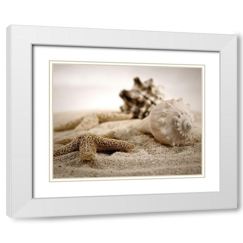 Seashells in the Sand White Modern Wood Framed Art Print with Double Matting by Cunningham, S.