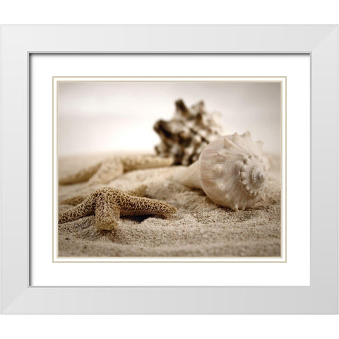 Seashells in the Sand White Modern Wood Framed Art Print with Double Matting by Cunningham, S.