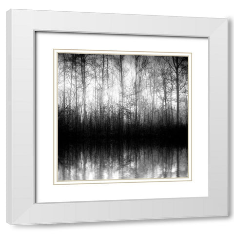 Forest Mist White Modern Wood Framed Art Print with Double Matting by Anonymous