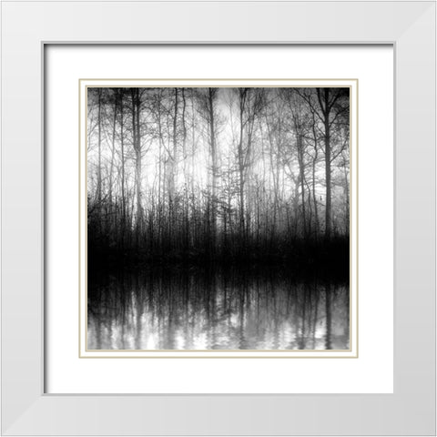 Forest Mist White Modern Wood Framed Art Print with Double Matting by Anonymous