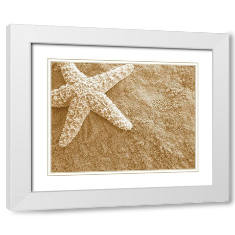 Starfish in the Sand White Modern Wood Framed Art Print with Double Matting by Anonymous