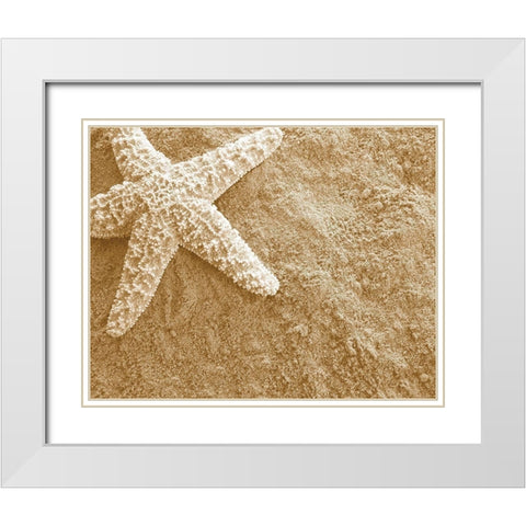 Starfish in the Sand White Modern Wood Framed Art Print with Double Matting by Anonymous