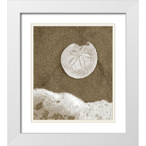 Sand Dollar and Surf White Modern Wood Framed Art Print with Double Matting by Anonymous