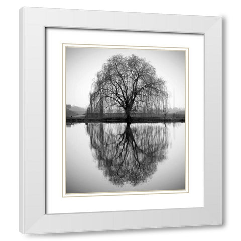 Majestic Willow White Modern Wood Framed Art Print with Double Matting by Anonymous