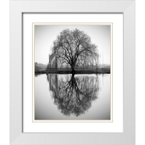 Majestic Willow White Modern Wood Framed Art Print with Double Matting by Anonymous