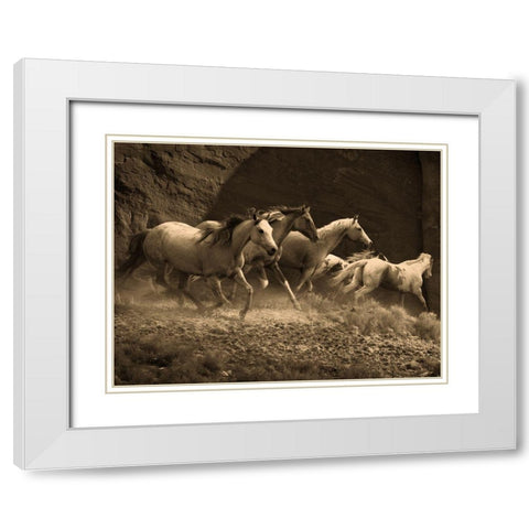 Wild Horses II White Modern Wood Framed Art Print with Double Matting by Anonymous