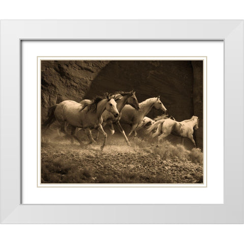 Wild Horses II White Modern Wood Framed Art Print with Double Matting by Anonymous