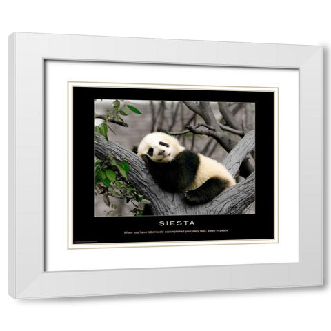 Siesta White Modern Wood Framed Art Print with Double Matting by Anonymous