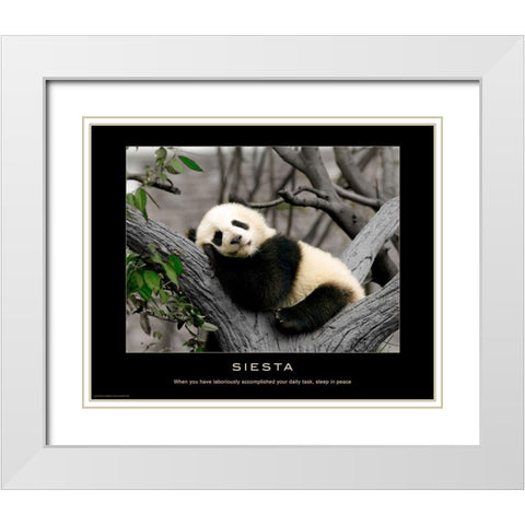 Siesta White Modern Wood Framed Art Print with Double Matting by Anonymous