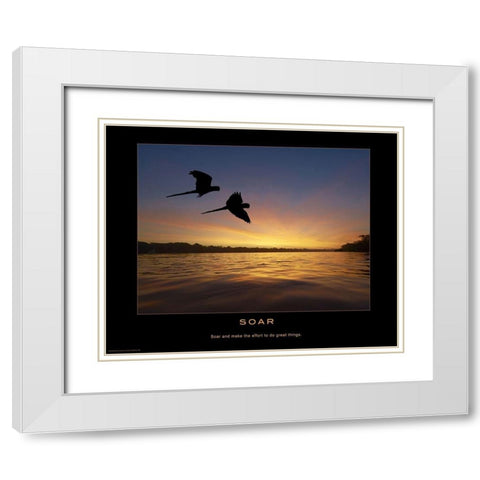 Soar White Modern Wood Framed Art Print with Double Matting by Anonymous