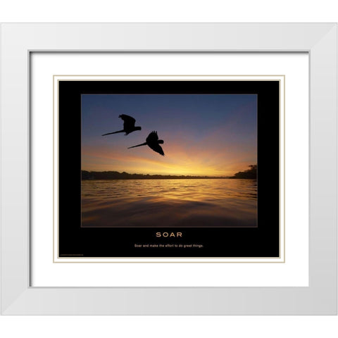 Soar White Modern Wood Framed Art Print with Double Matting by Anonymous