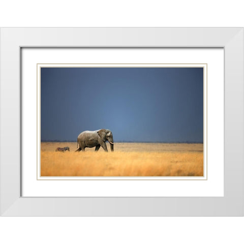 Follow the Leader, Color White Modern Wood Framed Art Print with Double Matting by Gerhardus