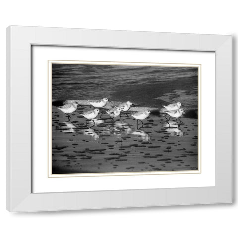 Family Reunion White Modern Wood Framed Art Print with Double Matting by Turek, Eve