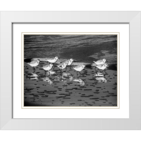 Family Reunion White Modern Wood Framed Art Print with Double Matting by Turek, Eve