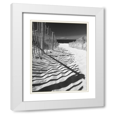 Shadowed Pathway White Modern Wood Framed Art Print with Double Matting by Anonymous