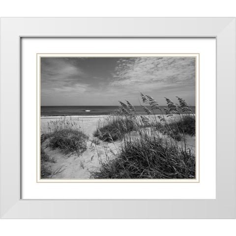 The Blessing Place White Modern Wood Framed Art Print with Double Matting by Turek, Eve