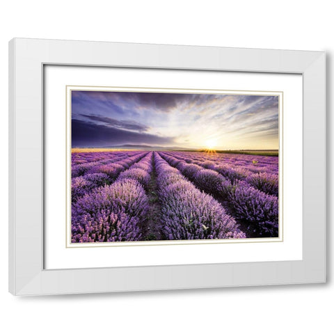 Lavender Sunrise White Modern Wood Framed Art Print with Double Matting by Anonymous