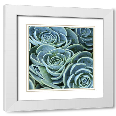 Blue Green Flora White Modern Wood Framed Art Print with Double Matting by Linjerry