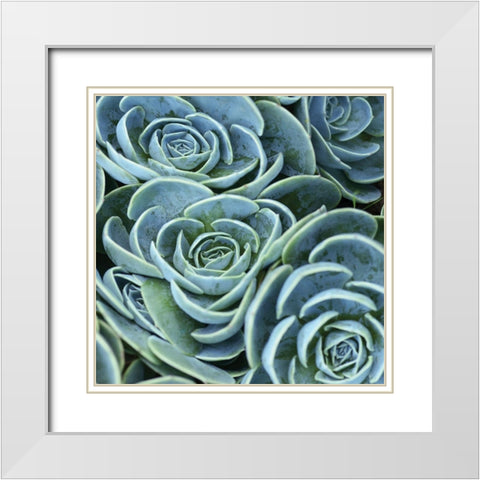 Blue Green Flora White Modern Wood Framed Art Print with Double Matting by Linjerry