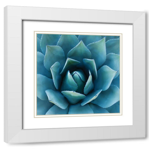 Southwest Beauty White Modern Wood Framed Art Print with Double Matting by Hennigan