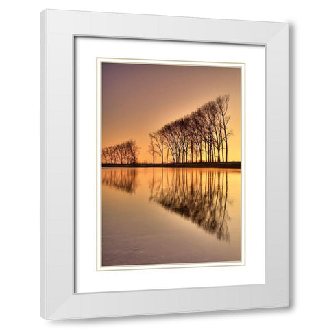 Reflections White Modern Wood Framed Art Print with Double Matting by Anonymous