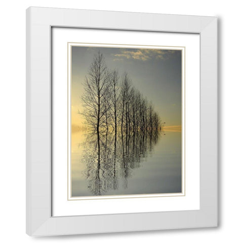 Reflections II White Modern Wood Framed Art Print with Double Matting by Anonymous