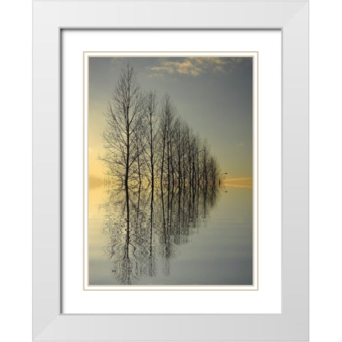 Reflections II White Modern Wood Framed Art Print with Double Matting by Anonymous