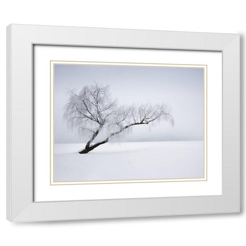 Solitude White Modern Wood Framed Art Print with Double Matting by Anonymous
