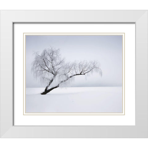 Solitude White Modern Wood Framed Art Print with Double Matting by Anonymous