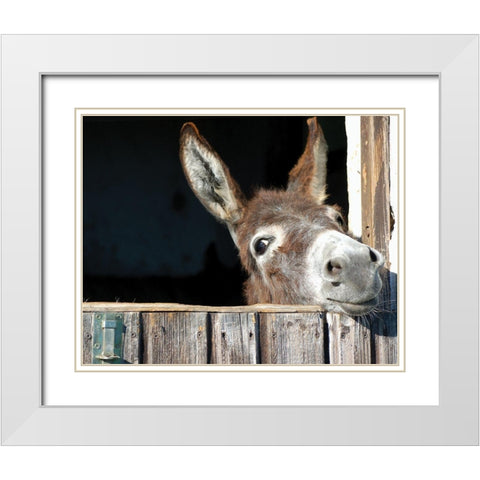 Whos There? White Modern Wood Framed Art Print with Double Matting by Hawlan