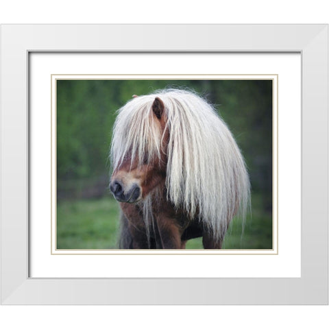 Little Pony White Modern Wood Framed Art Print with Double Matting by Anonymous
