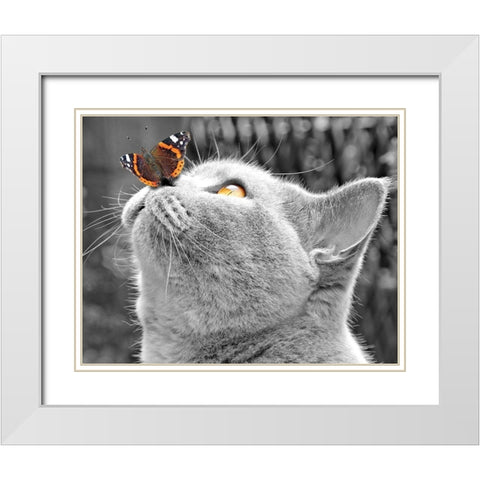 Butterfly on Nose White Modern Wood Framed Art Print with Double Matting by Anonymous