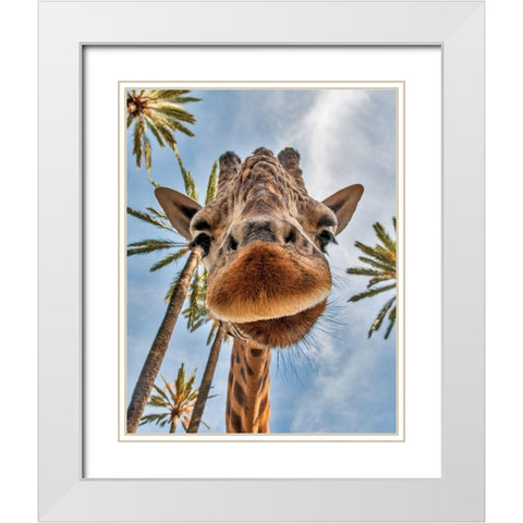 Here is Looking at You Kid White Modern Wood Framed Art Print with Double Matting by Anonymous