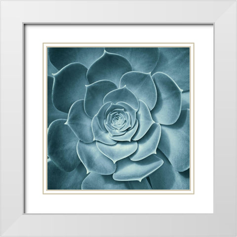 Symmetrical Flora White Modern Wood Framed Art Print with Double Matting by Spiler