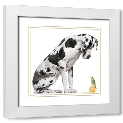 Thats My Ball White Modern Wood Framed Art Print with Double Matting by Anonymous