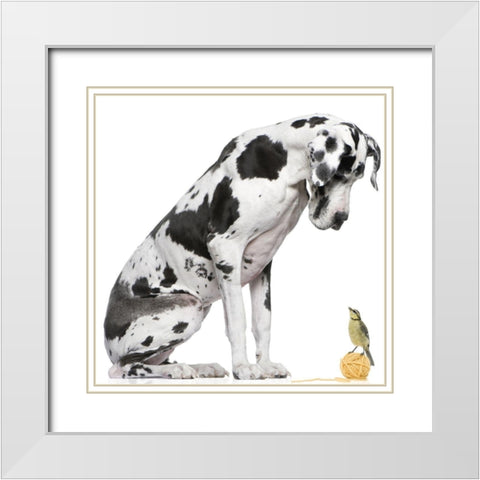 Thats My Ball White Modern Wood Framed Art Print with Double Matting by Anonymous