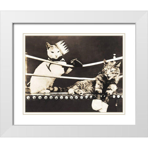 Catfight White Modern Wood Framed Art Print with Double Matting by Anonymous