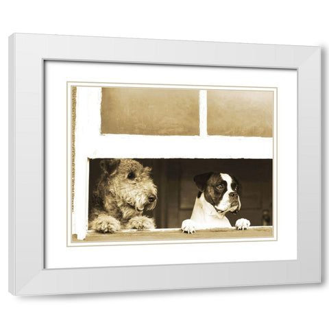 Waiting for Godot White Modern Wood Framed Art Print with Double Matting by Anonymous