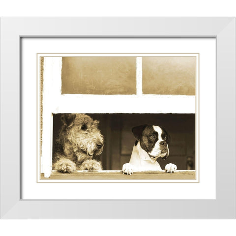 Waiting for Godot White Modern Wood Framed Art Print with Double Matting by Anonymous